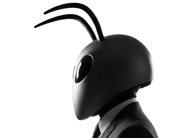 Const-Ant intelligence portrait